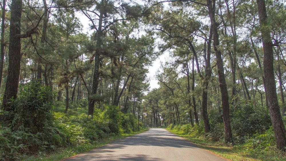 Thien An Hill is perfect for visitors in search of serenity